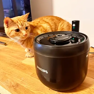 Edelstahl Trinkbrunnen – grosser Tank, robuste Bauweise