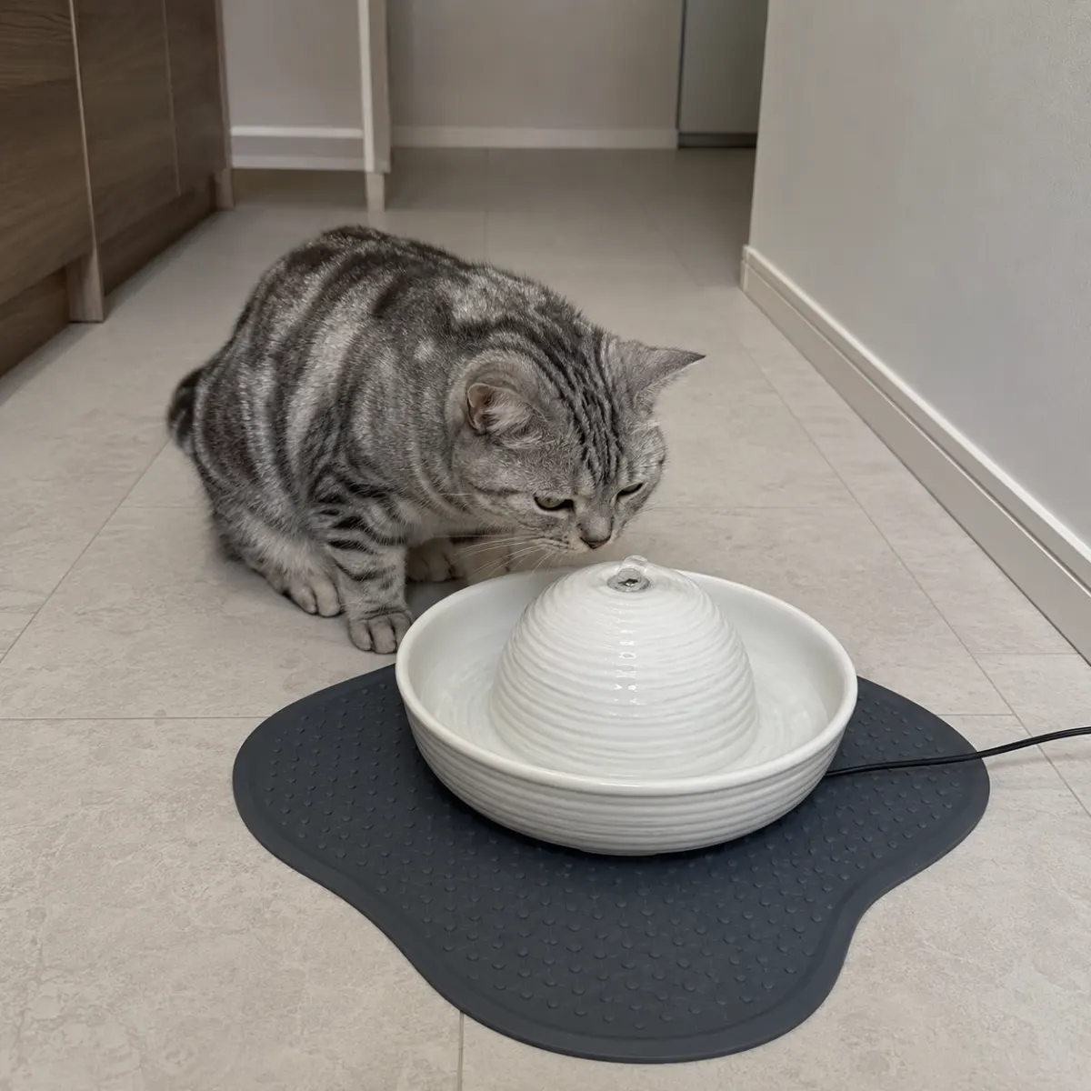 Schwere Keramikschale als Basis für einen selbst gebauten Katzen-Trinkbrunnen